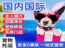 重庆仙女山机场货运国际宠物托运 【国